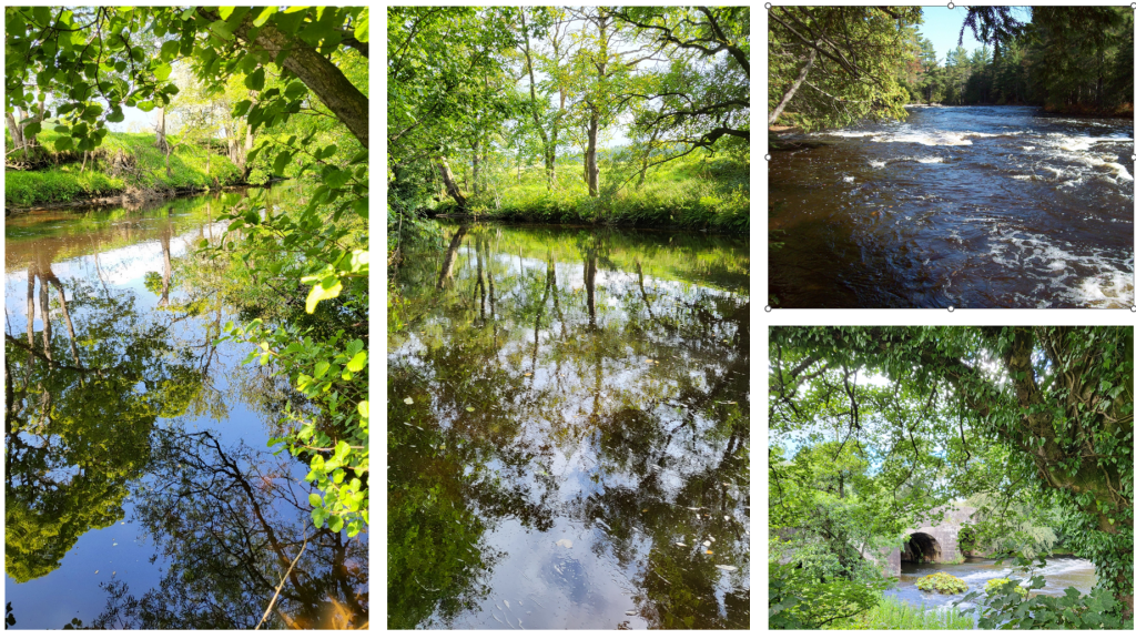 Pictures of the River Derwent